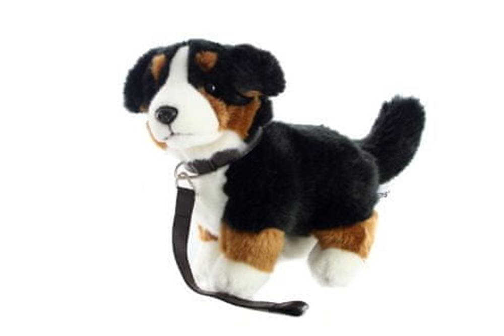  Plyš Bernský salašnícky pes s vodítkom 26 cm