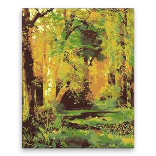 Malujsi  Maľovanie podľa čísel - Pohľad z lesa - 80x100 cm,  plátno vypnuté na rám značky Malujsi