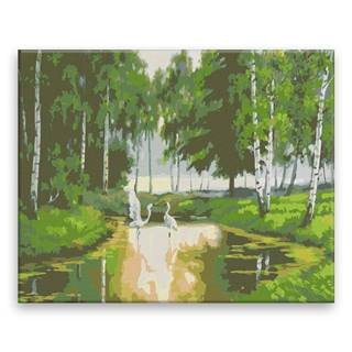 Malujsi Maľovanie podľa čísel - Bociany na jazere - 50x40 cm,  bez dreveného rámu
