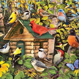 Cobble Hill Puzzle Vtáčia búdka 1000 dielikov
