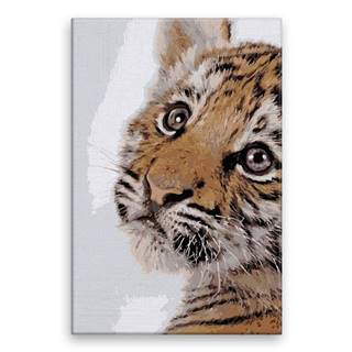 Malujsi Maľovanie podľa čísel - Tigrie mačiatko - 40x60 cm,  plátno vypnuté na rám