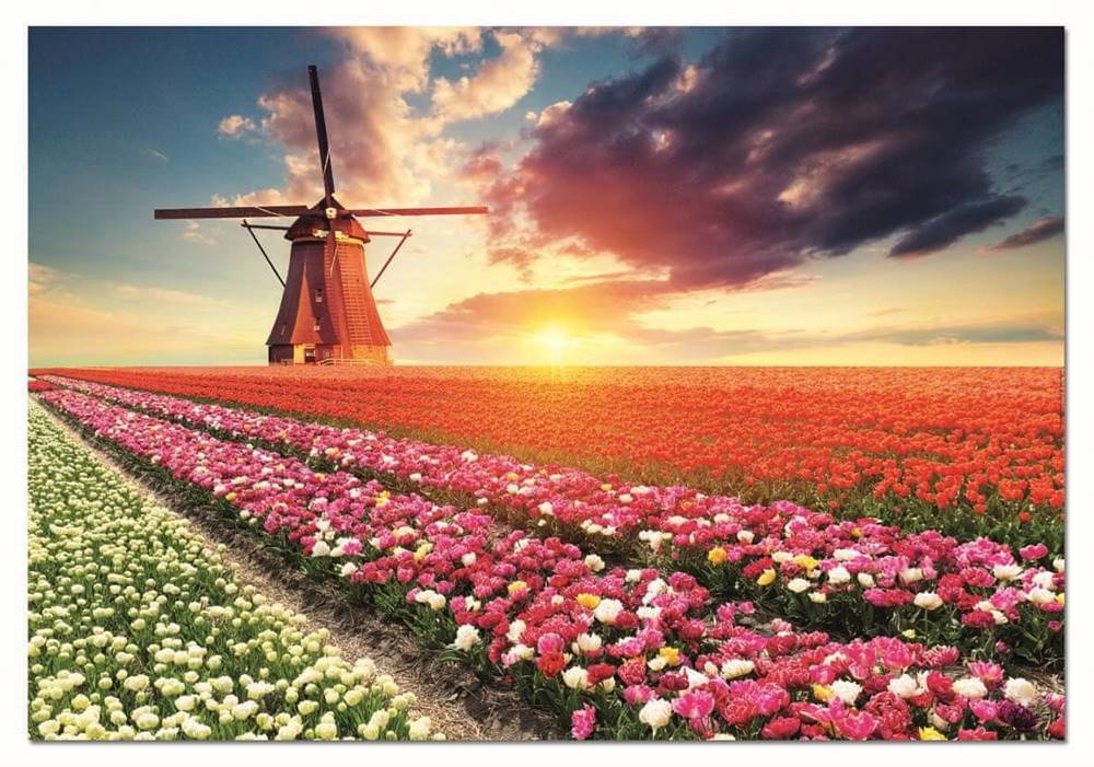 EDUCA  Puzzle Krajina tulipánov 1500 dielikov značky EDUCA