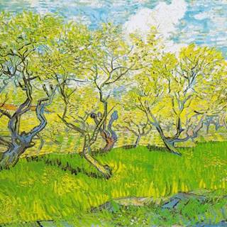 ENJOY Puzzle Vincent Van Gogh: Kvitnúce sad 1000 dielikov