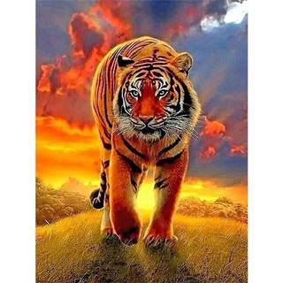 Nadirah Diamantový obraz Tiger a západ slnka