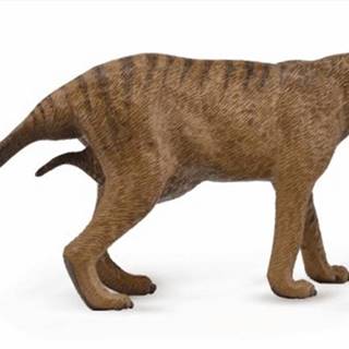 COLLECTA  figúrka Tasmánsky vakovlk - Thylacine - samica značky COLLECTA