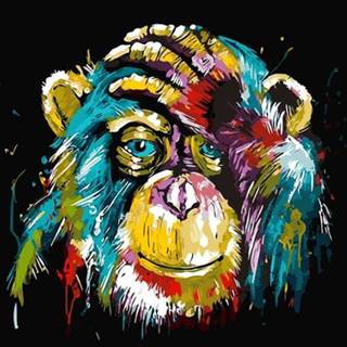Gaira® Malovanie podľa čísel Šimpanz M99046