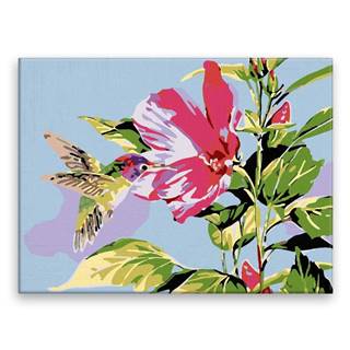 Malujsi Maľovanie podľa čísel - Kolibrík na kvete - 40x30 cm,  bez dreveného rámu