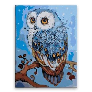 Malujsi Maľovanie podľa čísel - Magická sova - 30x40 cm,  plátno vypnuté na rám
