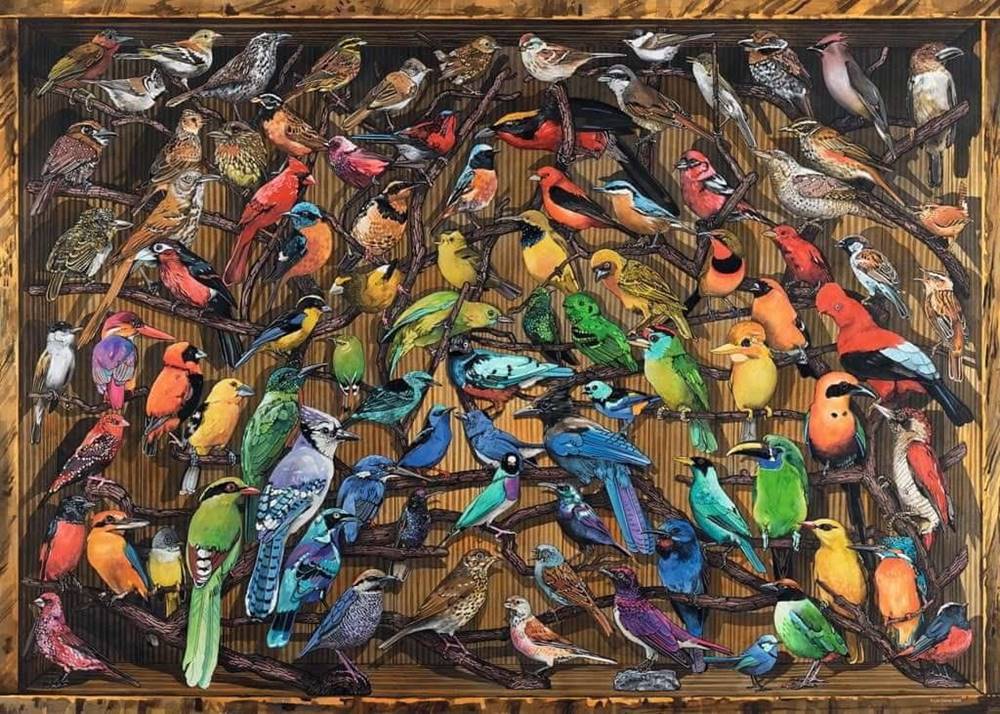 Ravensburger  Puzzle Vtáky sveta 1000 dielikov značky Ravensburger