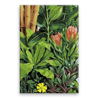 Malujsi Maľovanie podľa čísel - Exotické rastliny 02 - 40x60 cm,  plátno vypnuté na rám