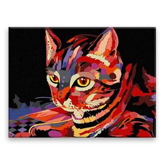 Malujsi Maľovanie podľa čísel - Mačka na deke - 80x60 cm,  bez dreveného rámu