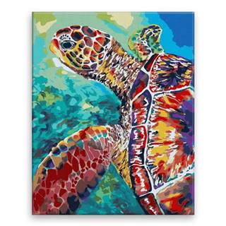Malujsi Maľovanie podľa čísel - Želva zblízka - 80x100 cm,  plátno vypnuté na rám