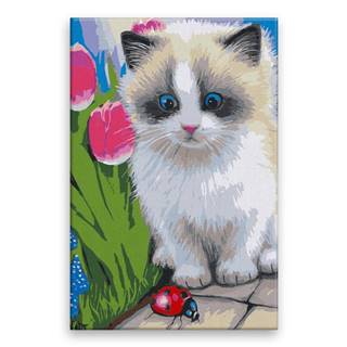 Malujsi Maľovanie podľa čísel - Mačka s beruškou - 40x60 cm,  bez dreveného rámu