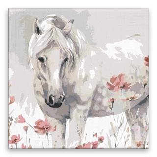 Malujsi Maľovanie podľa čísel - Divoký kôň - 80x80 cm,  bez dreveného rámu
