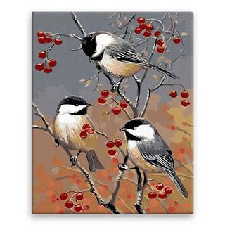 Malujsi Maľovanie podľa čísel - Tri vtáčiky - 80x100 cm,  bez dreveného rámu