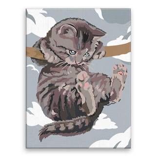 Malujsi Maľovanie podľa čísel - Mačka visí - 30x40 cm,  plátno vypnuté na rám