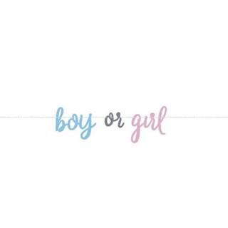 Párty girlanda Gender reveal - Boy or Girl - Chlapec alebo Holka - 213 cm