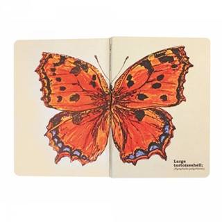 For Fun & Home Poznámkový blok A5 s motýľmi