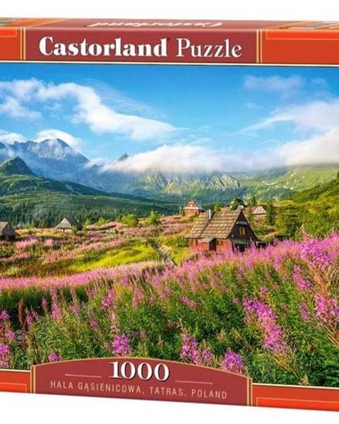 Puzzle Castorland