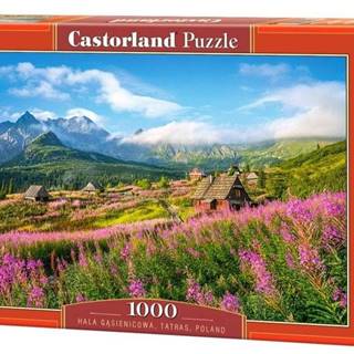 Castorland Puzzle Dolina Gąsienicowa,  Tatry 1000 dielikov