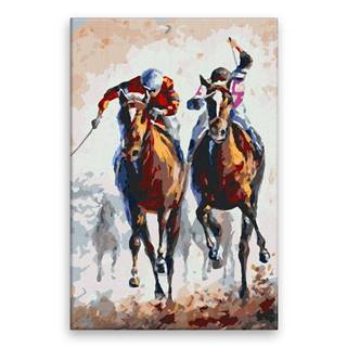 Malujsi Maľovanie podľa čísel - Žokej na koni - 80x120 cm,  bez dreveného rámu