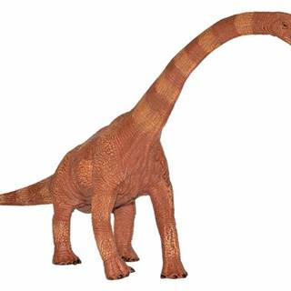 DINO G - Figúrka Brachiosaurus 30 cm