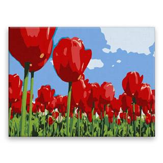 Malujsi Maľovanie podľa čísel - Červené tulipány - 40x30 cm,  bez dreveného rámu