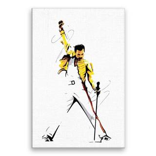 Malujsi  Maľovanie podľa čísel - Freddie Mercury 01 - 40x60 cm,  bez dreveného rámu značky Malujsi