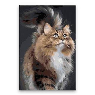 Malujsi Maľovanie podľa čísel - Mačka krása - 80x120 cm,  bez dreveného rámu