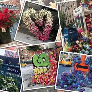 Ravensburger Puzzle Kvetiny v New Yorku 1000 dielikov