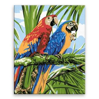 Malujsi Maľovanie podľa čísel - Dva papagáje - 80x100 cm,  bez dreveného rámu