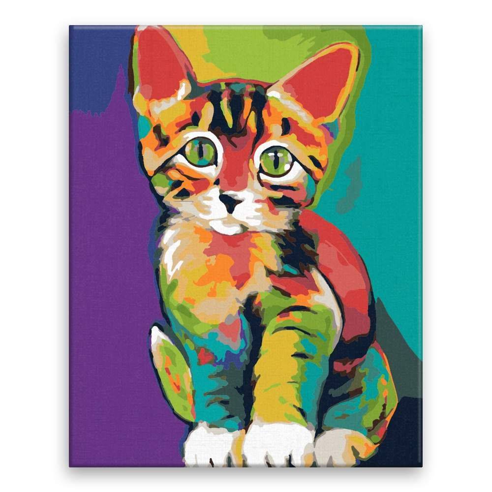 Malujsi  Maľovanie podľa čísel - Farebná mačička - 40x50 cm,  bez dreveného rámu značky Malujsi