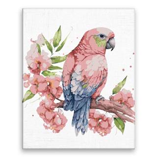 Malujsi Maľovanie podľa čísel - Papagáj na strome - 80x100 cm,  plátno vypnuté na rám