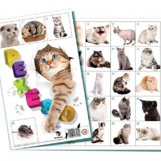 Greatstore Pexeso Kočky společenská hra 32 obrázkových dvojic