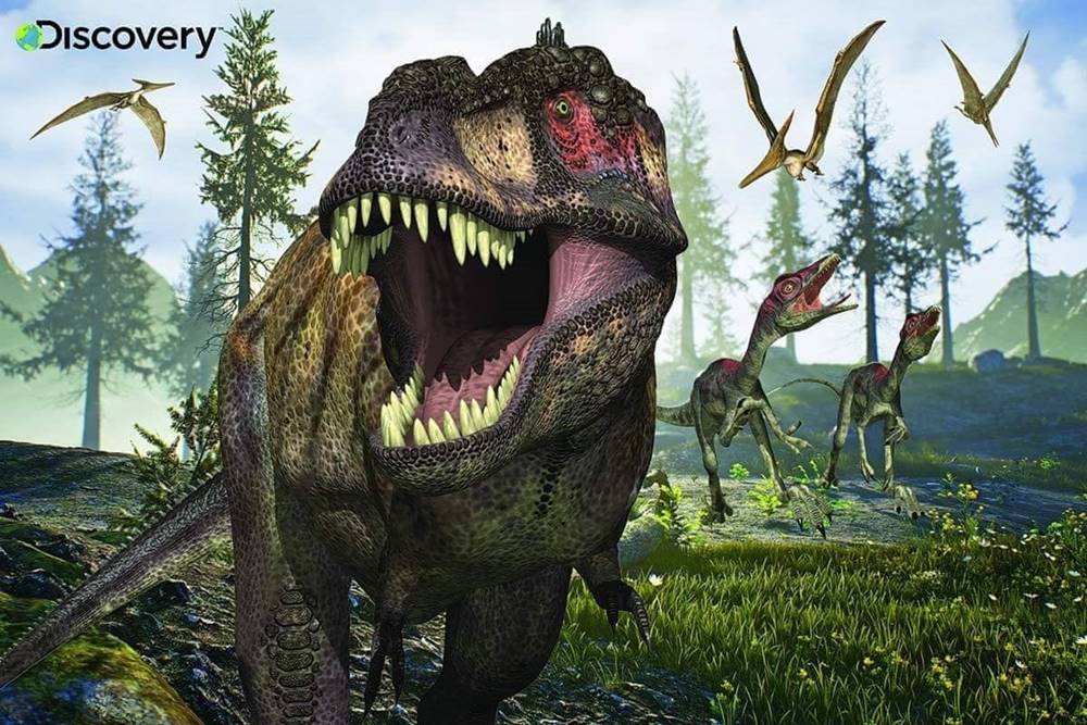 Prime 3D  Puzzle Discovery: Tyrannosaurus Rex 3D 150 dielikov značky Prime 3D