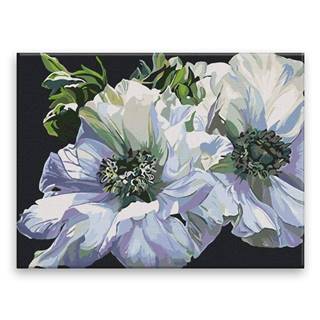 Malujsi Maľovanie podľa čísel - Zelené a biele kvety - 40x30 cm,  plátno vypnuté na rám