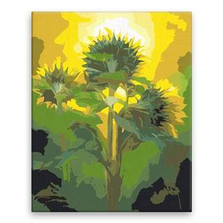 Malujsi Maľovanie podľa čísel - Tri slnečnice - 80x100 cm,  bez dreveného rámu