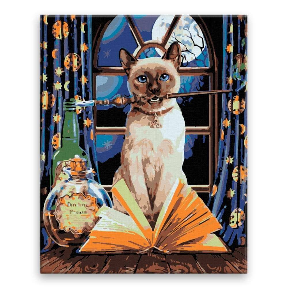 Malujsi  Maľovanie podľa čísel - Magická mačka - 40x50 cm,  bez dreveného rámu značky Malujsi