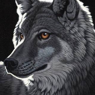 Grafika Puzzle Nočný vlk 1000 dielikov