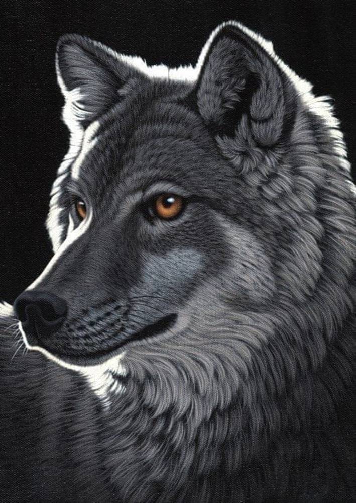 Grafika  Puzzle Nočný vlk 1000 dielikov značky Grafika