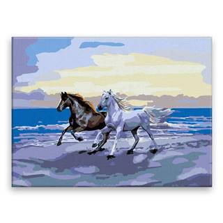 Malujsi Maľovanie podľa čísel - Kone na pláži - 80x60 cm,  bez dreveného rámu