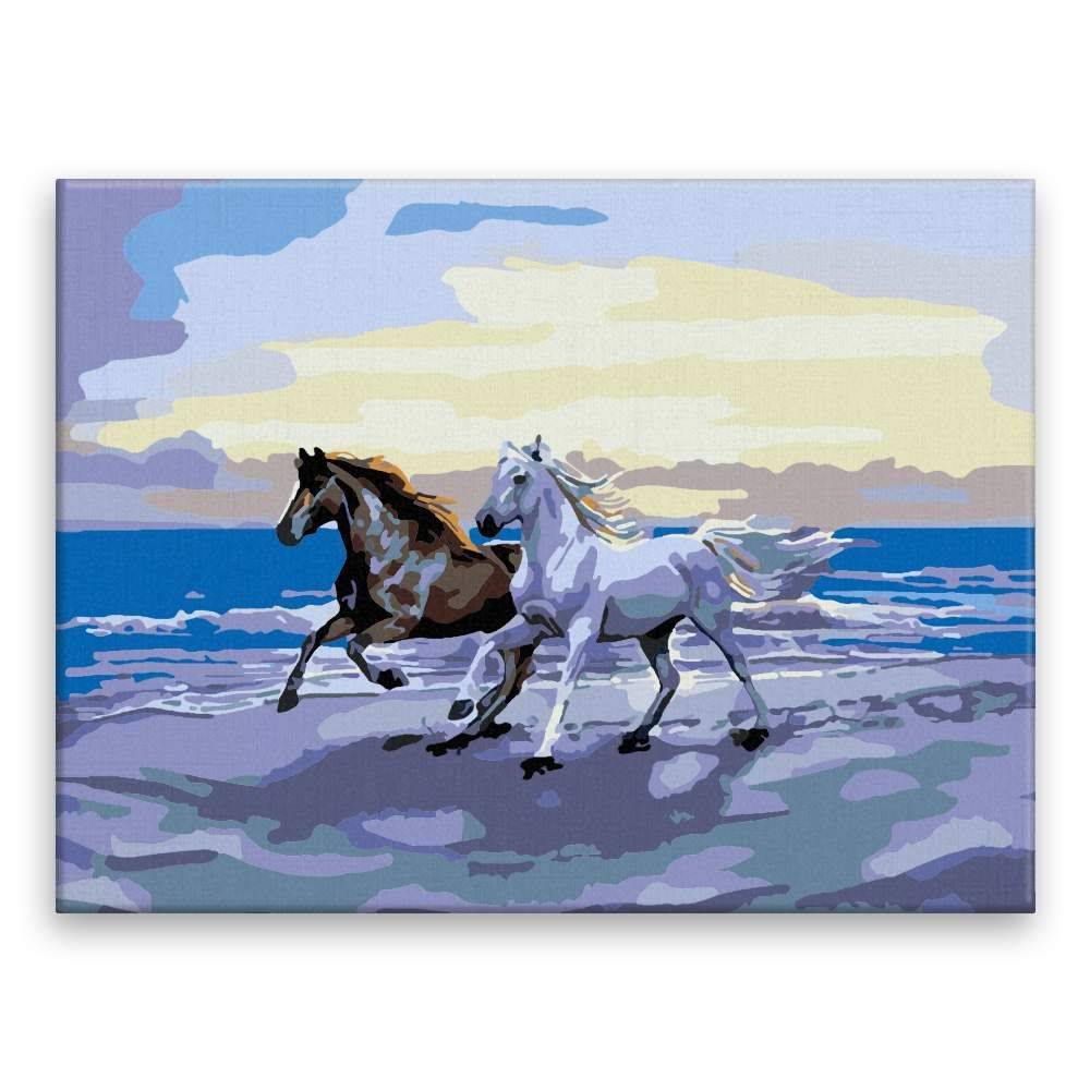 Malujsi  Maľovanie podľa čísel - Kone na pláži - 80x60 cm,  bez dreveného rámu značky Malujsi